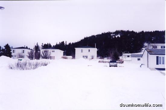 Main Gallery Display