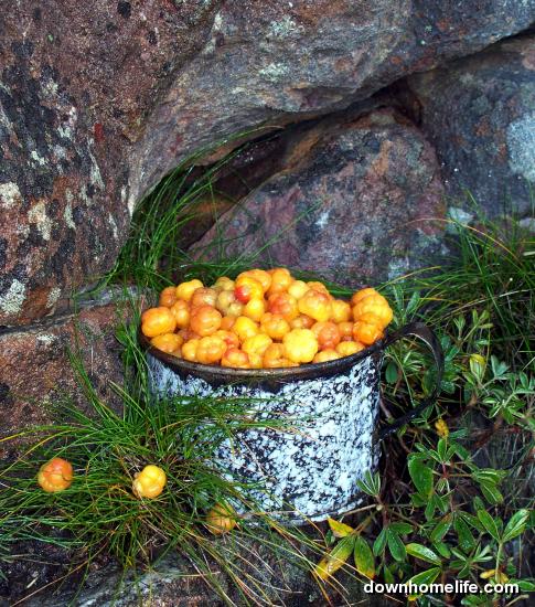 Main Gallery Display