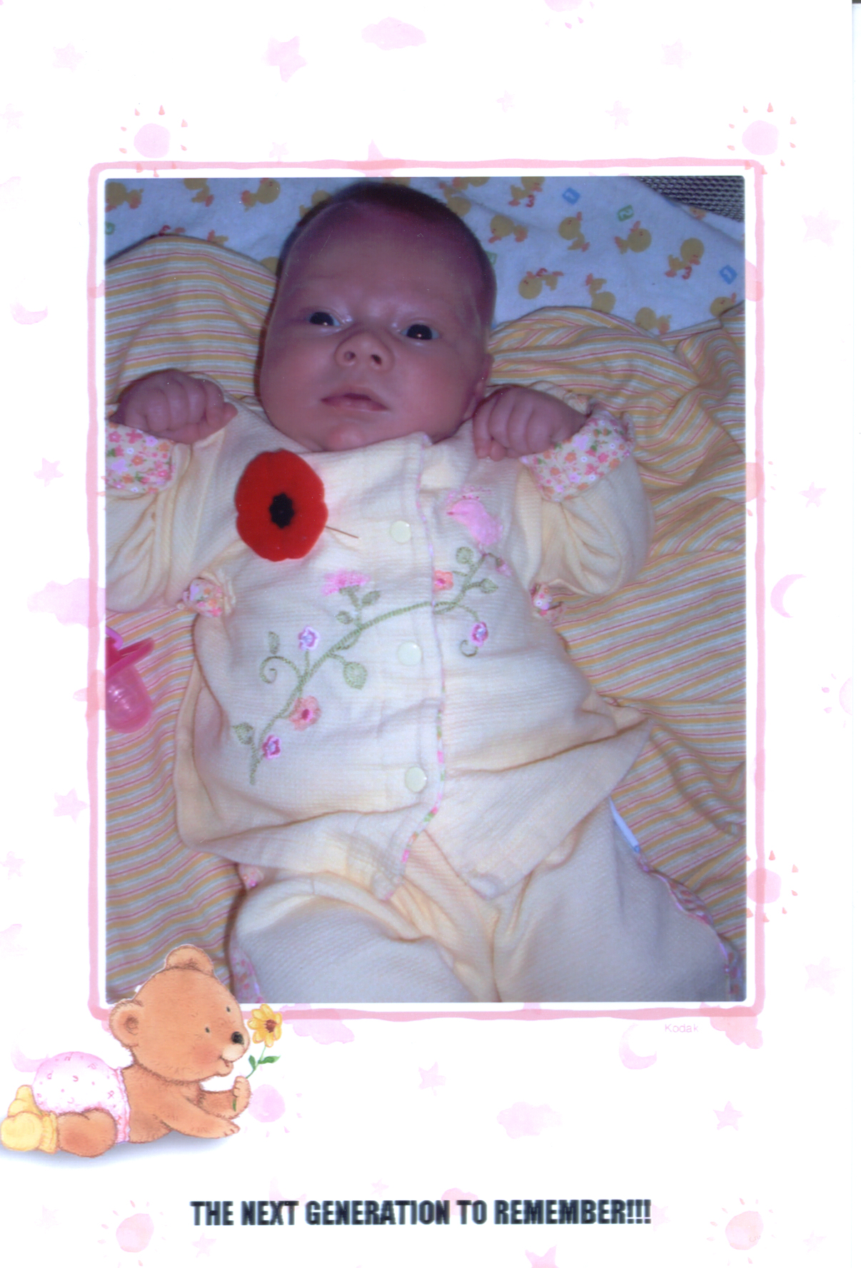 Main Gallery Display