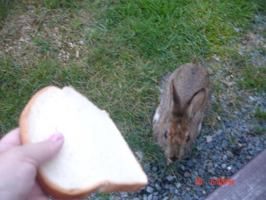 Main Gallery Display
