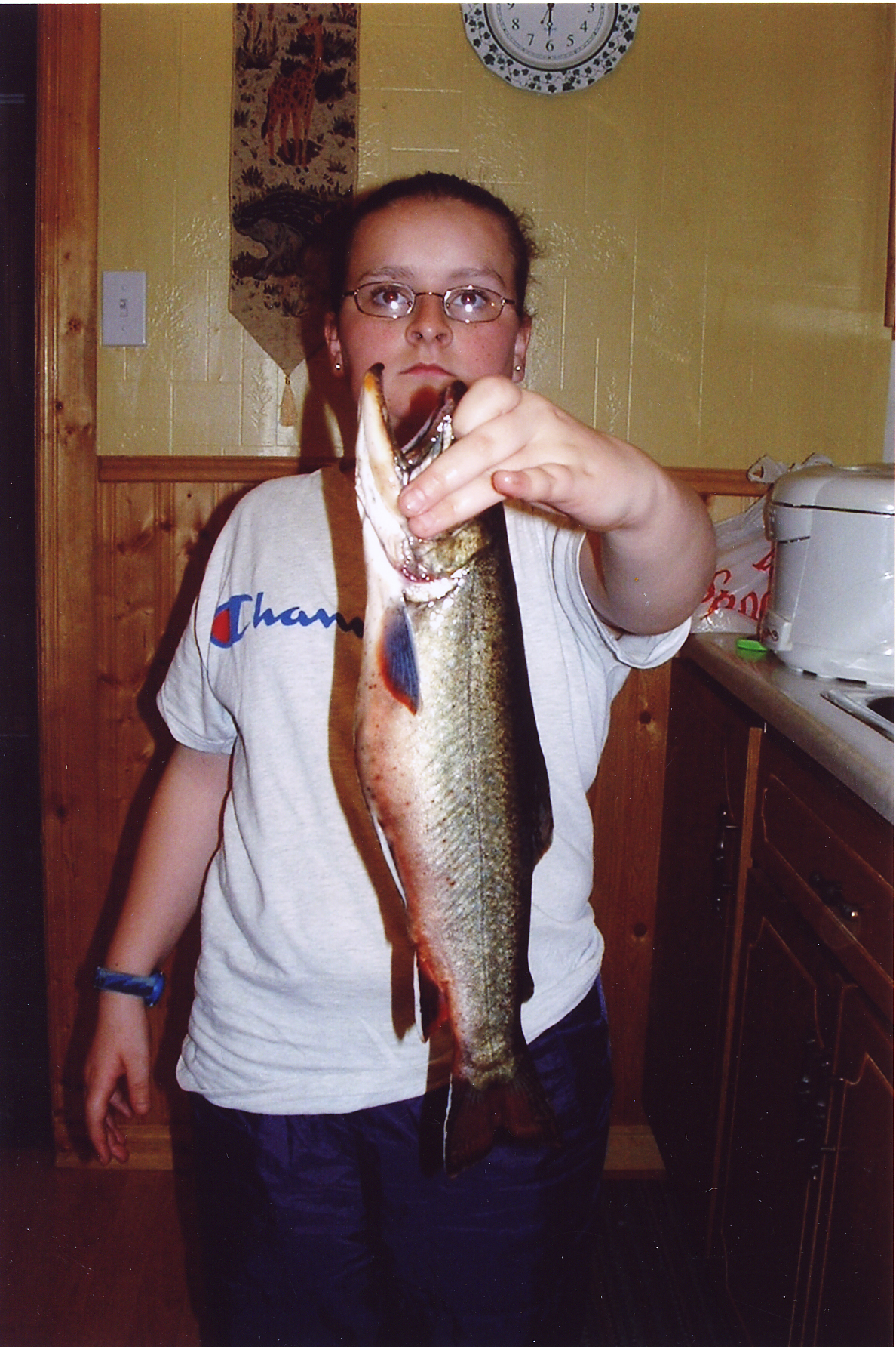 Main Gallery Display