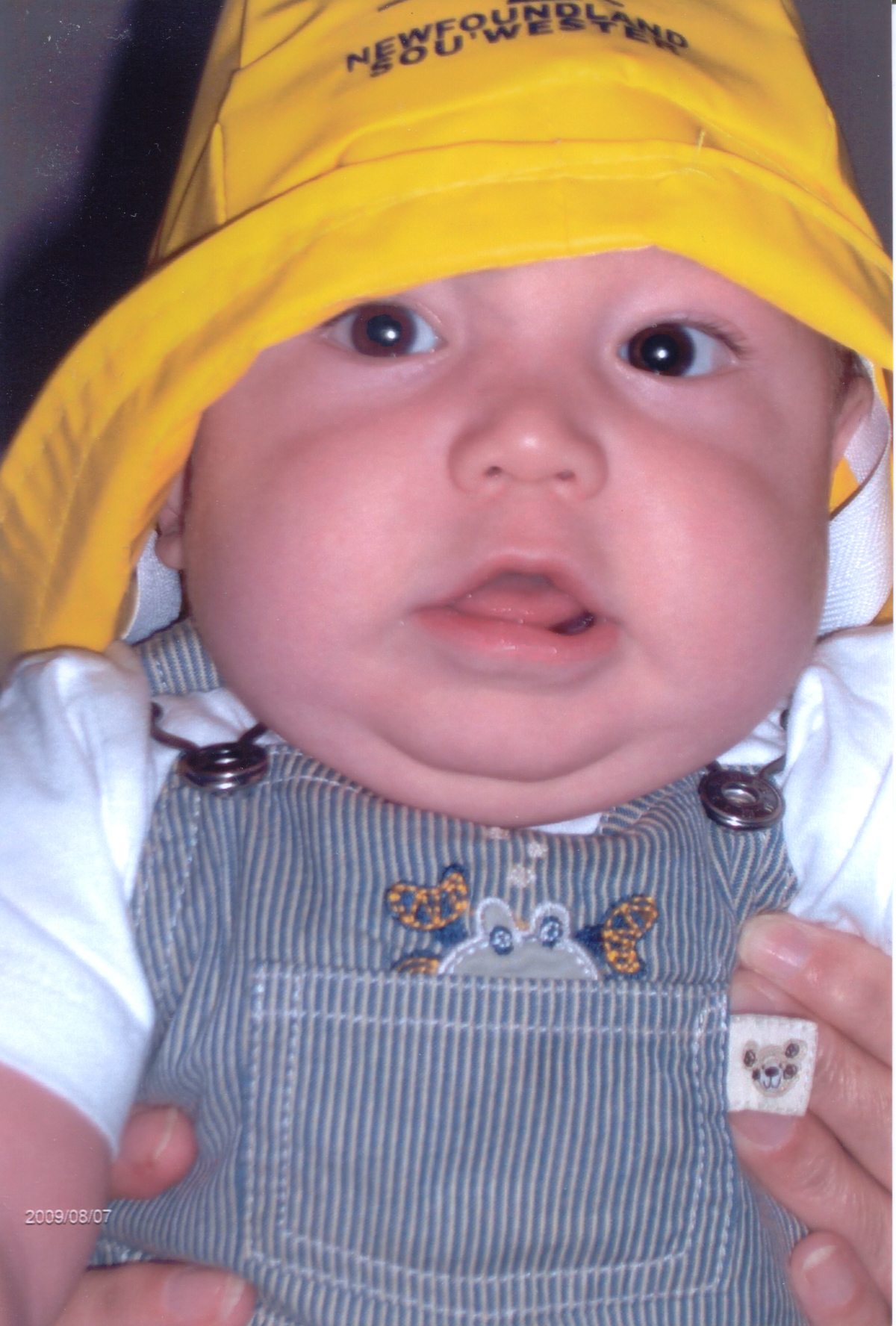 Main Gallery Display