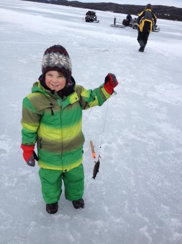 Main Gallery Display