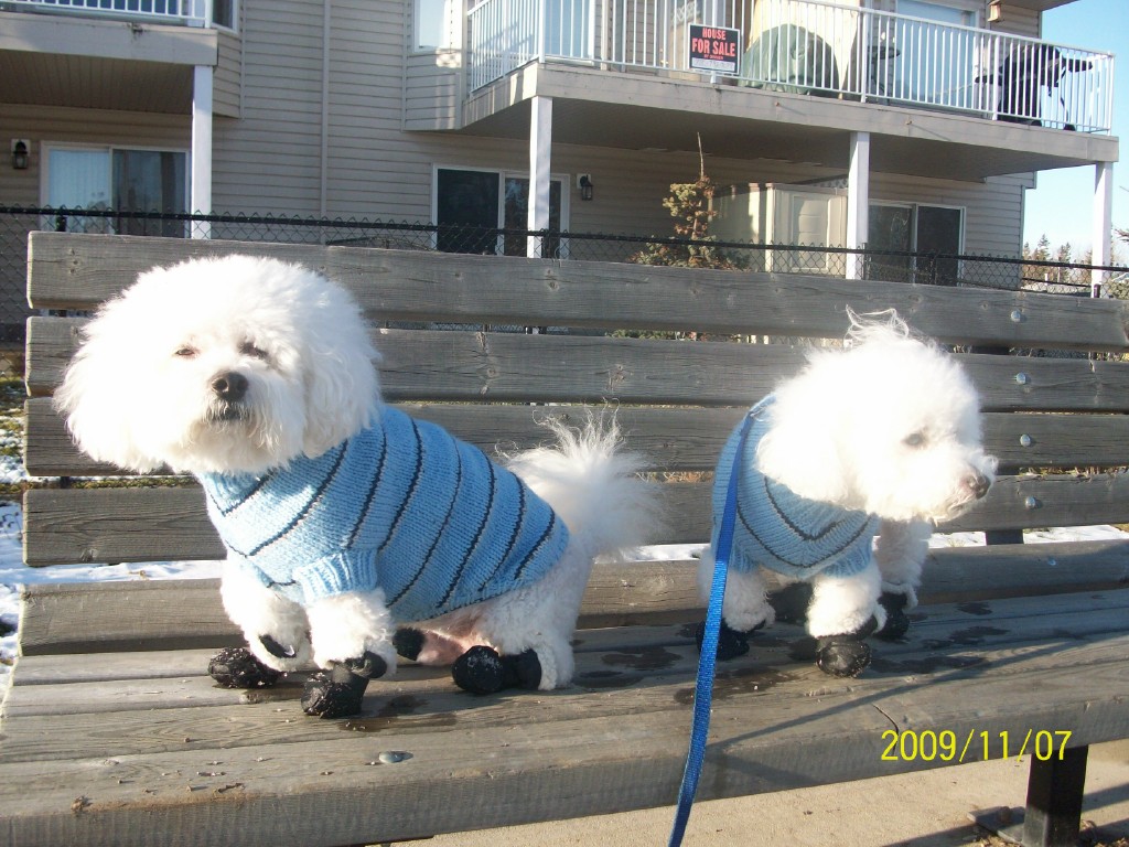 Main Gallery Display