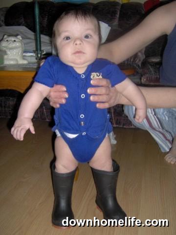 Main Gallery Display