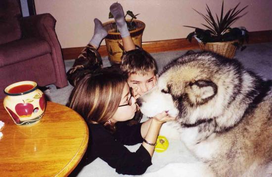 Main Gallery Display