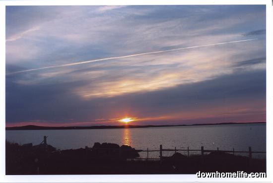 Main Gallery Display