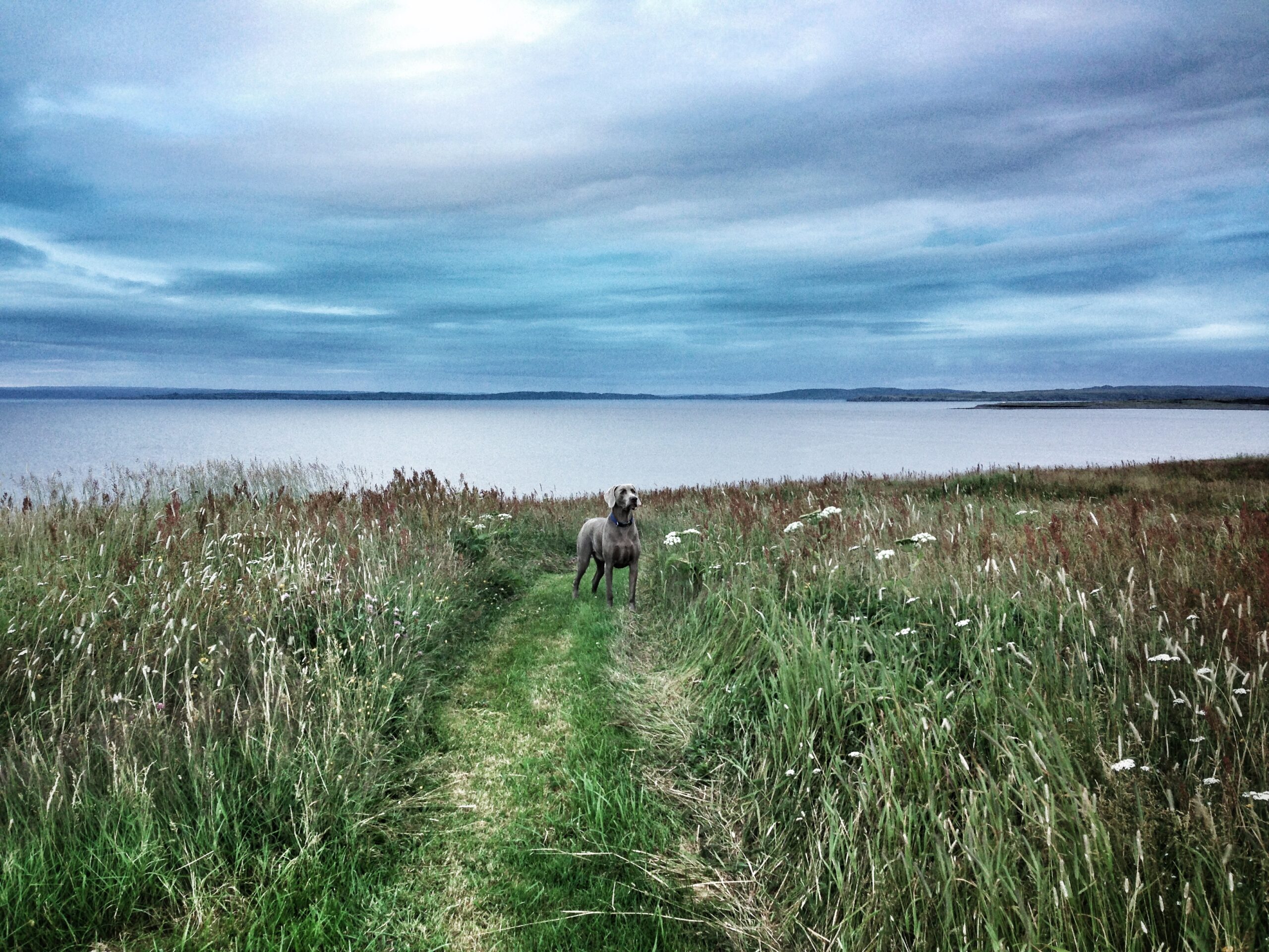 Main Gallery Display
