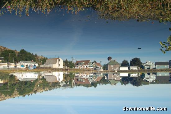 Main Gallery Display