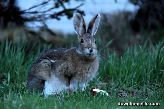 Main Gallery Display
