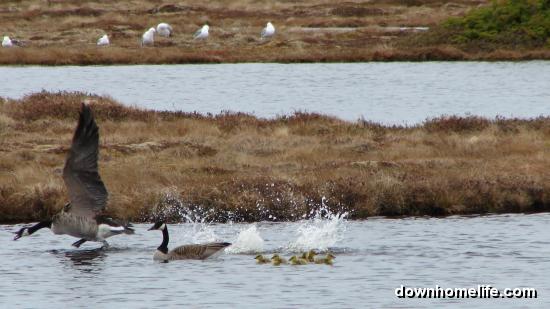 Main Gallery Display
