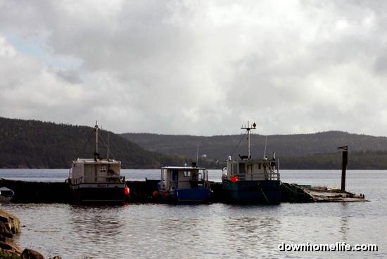 Main Gallery Display