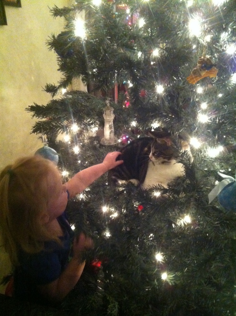 Main Gallery Display