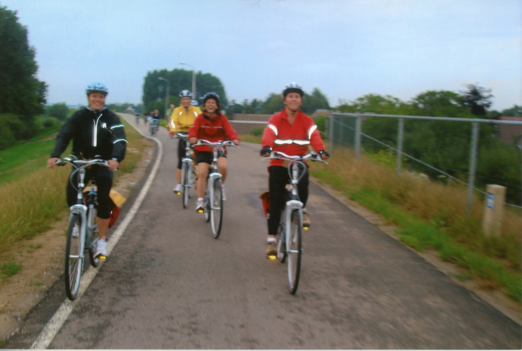 Main Gallery Display