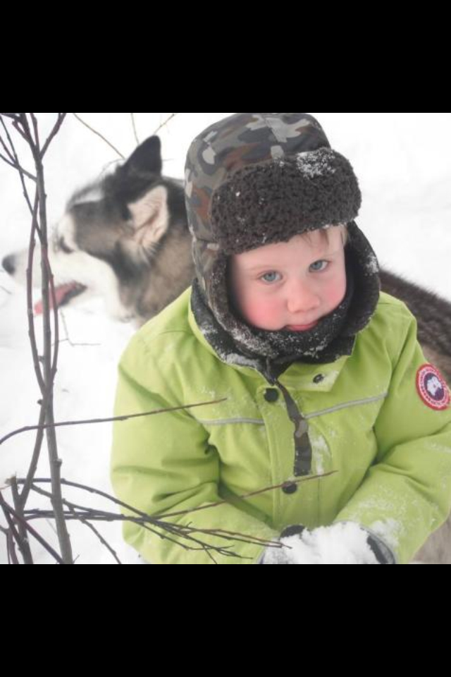 Main Gallery Display