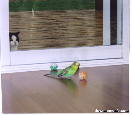 Main Gallery Display