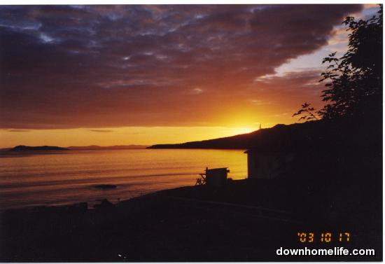 Main Gallery Display