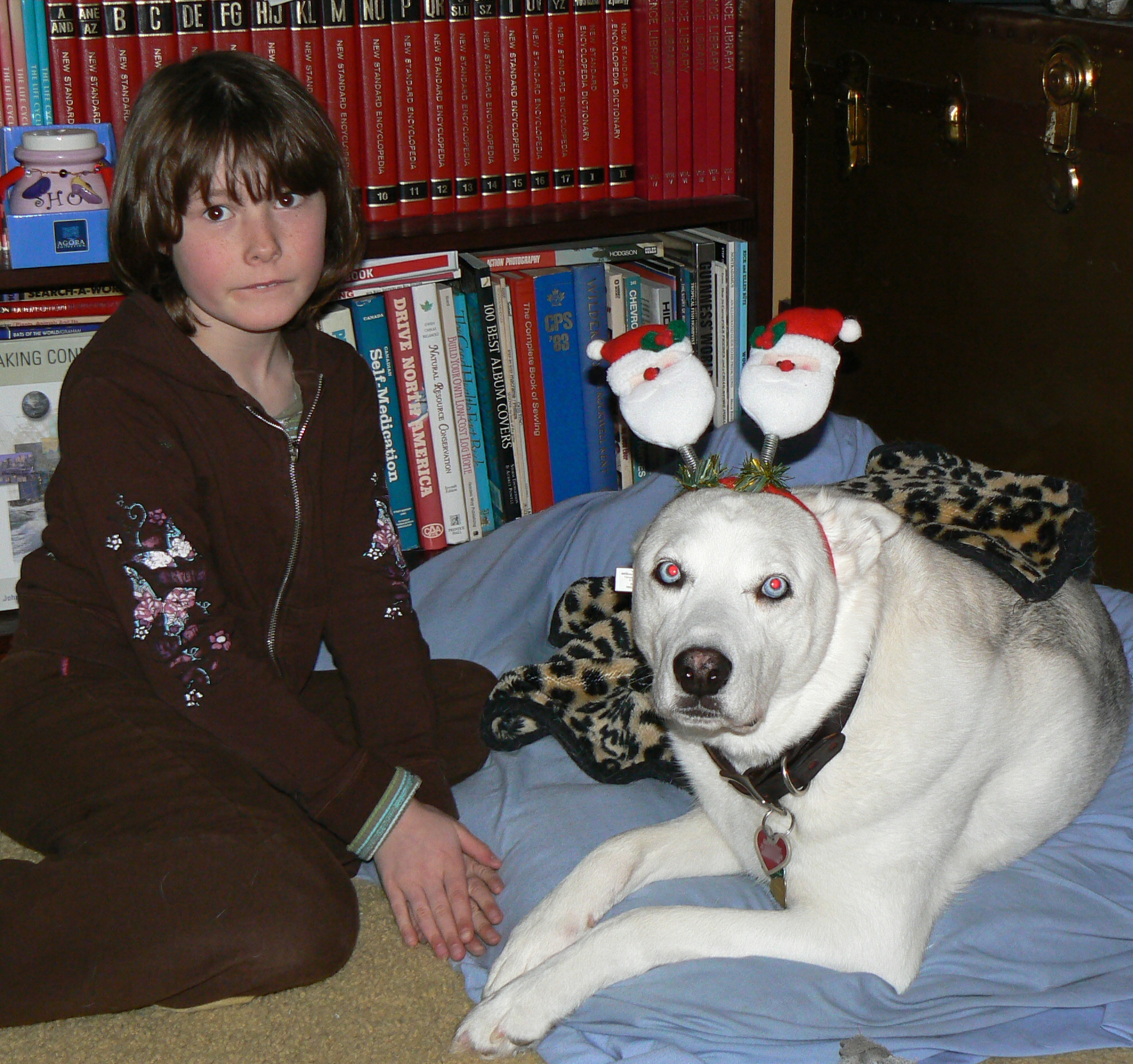 Main Gallery Display