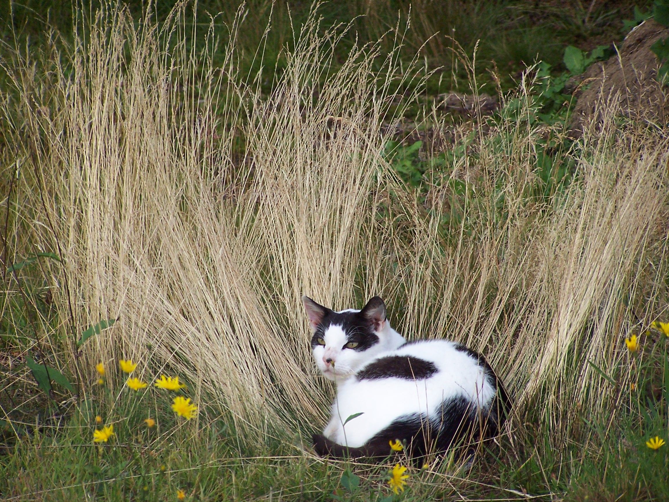 Main Gallery Display