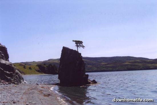 Main Gallery Display