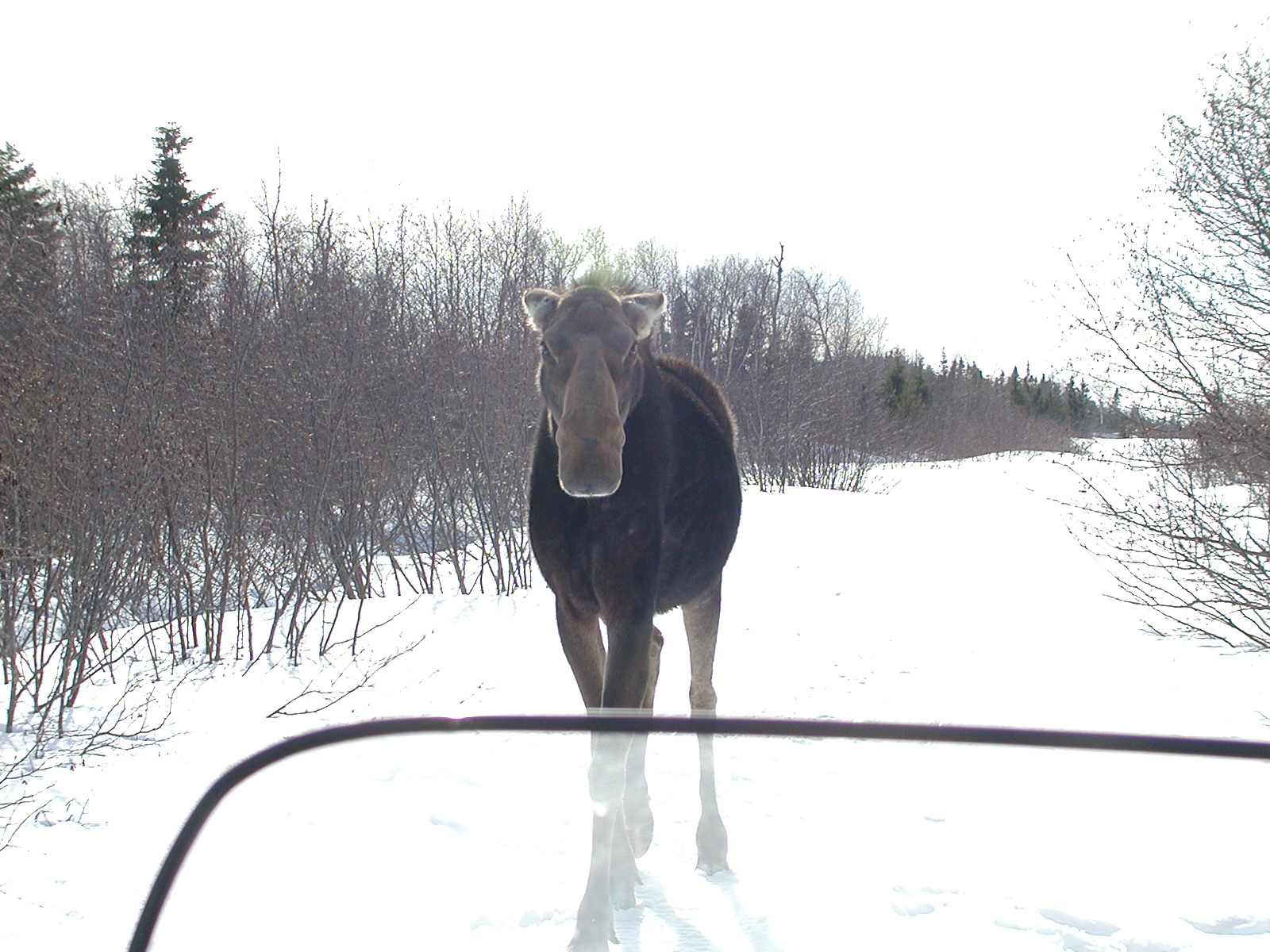 Main Gallery Display