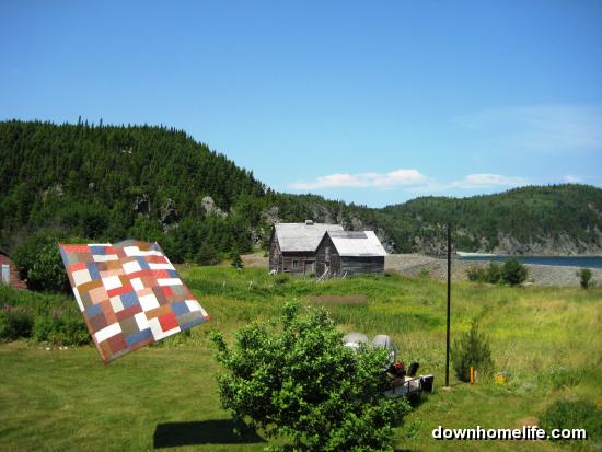 Main Gallery Display