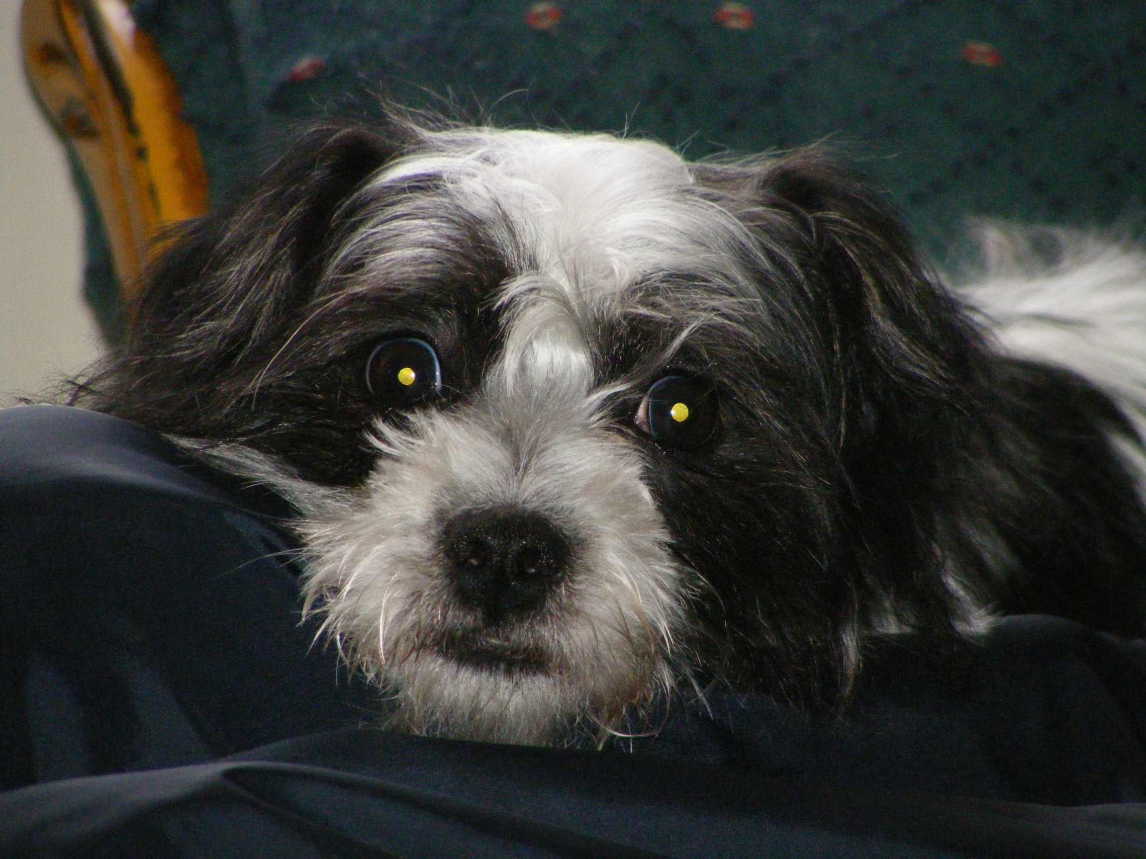 Main Gallery Display