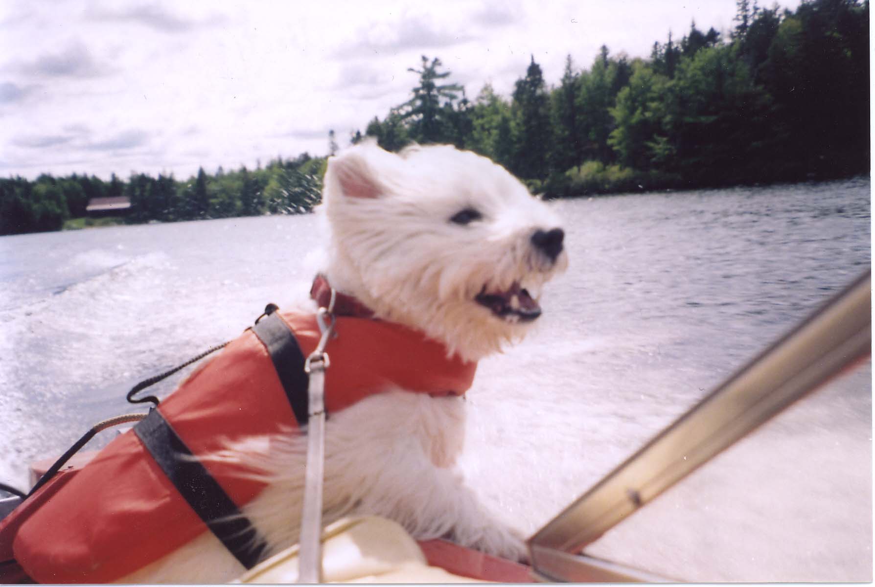 Main Gallery Display