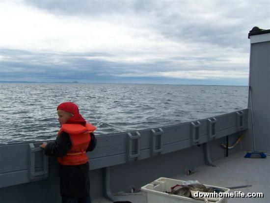 Main Gallery Display