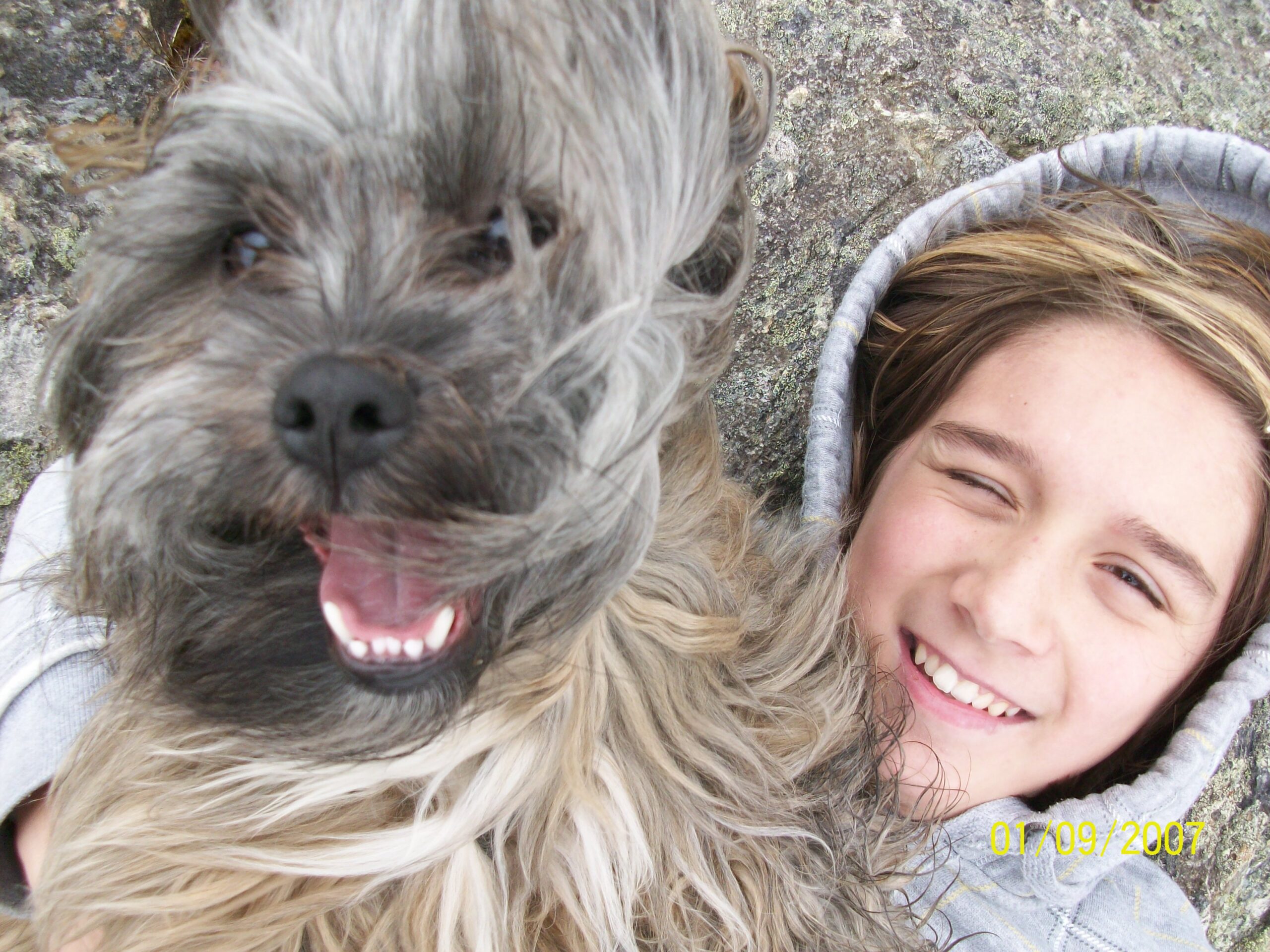 Main Gallery Display