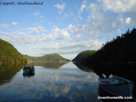 Main Gallery Display