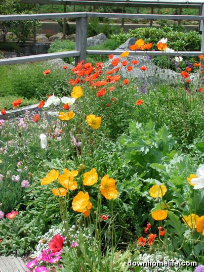 Main Gallery Display