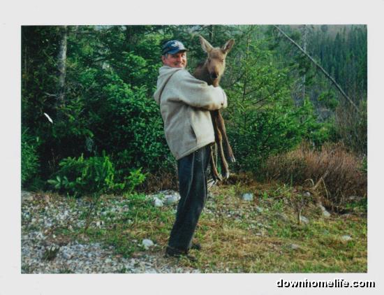 Main Gallery Display