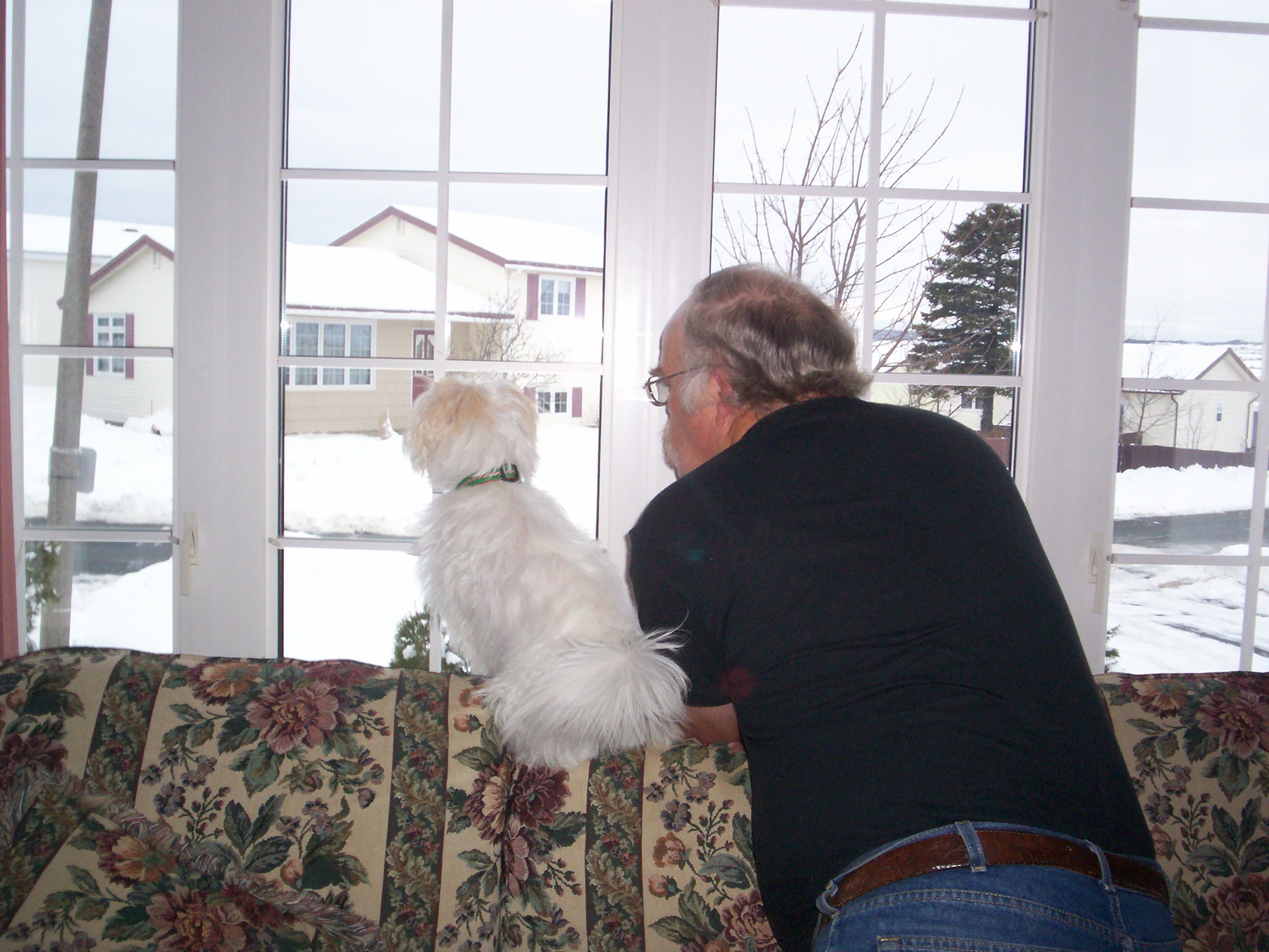 Main Gallery Display