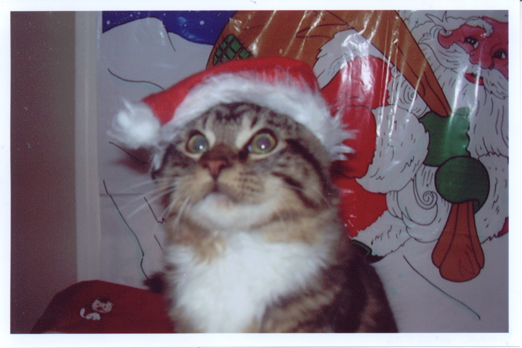 Main Gallery Display