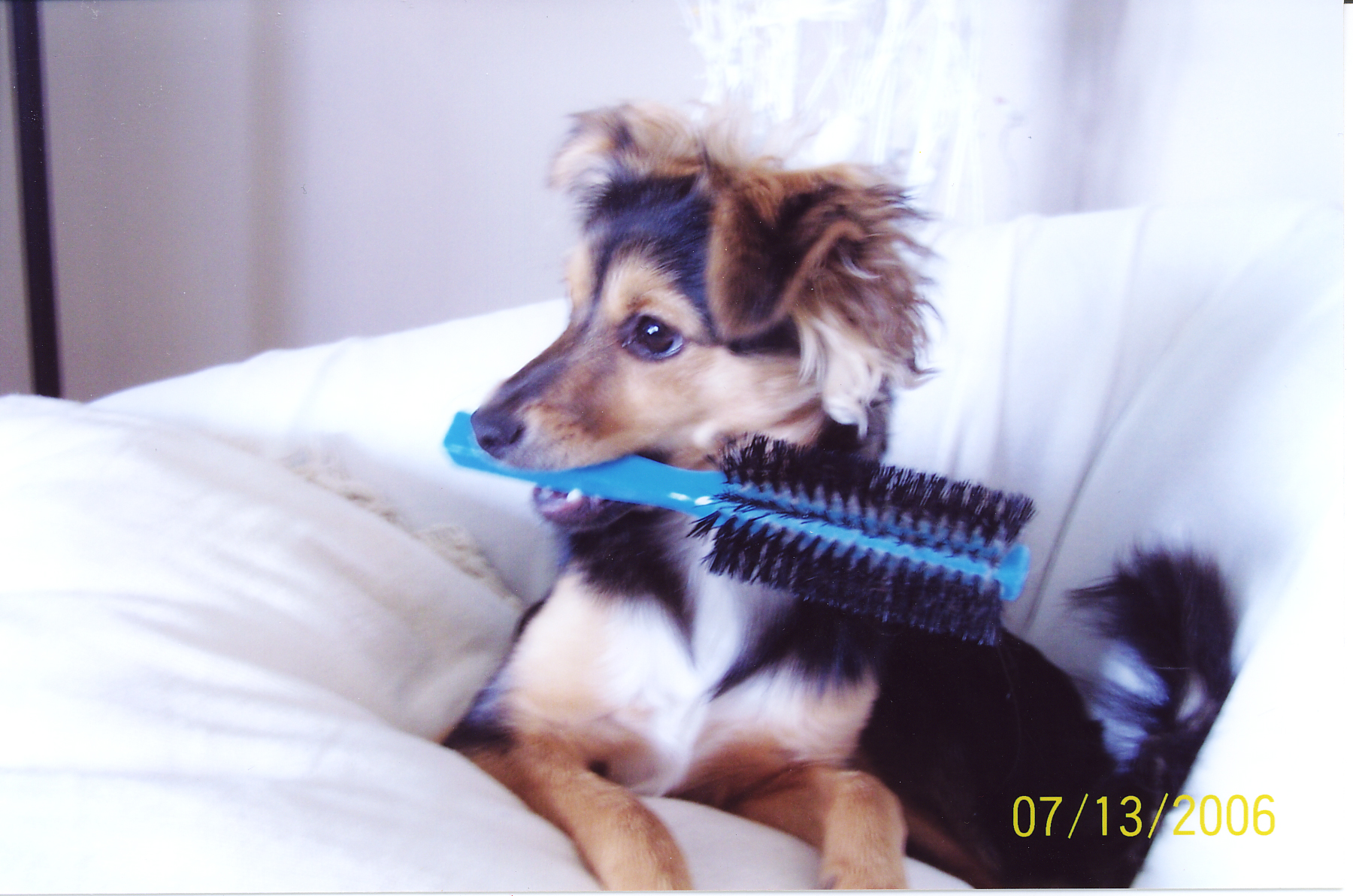 Main Gallery Display