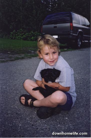 Main Gallery Display