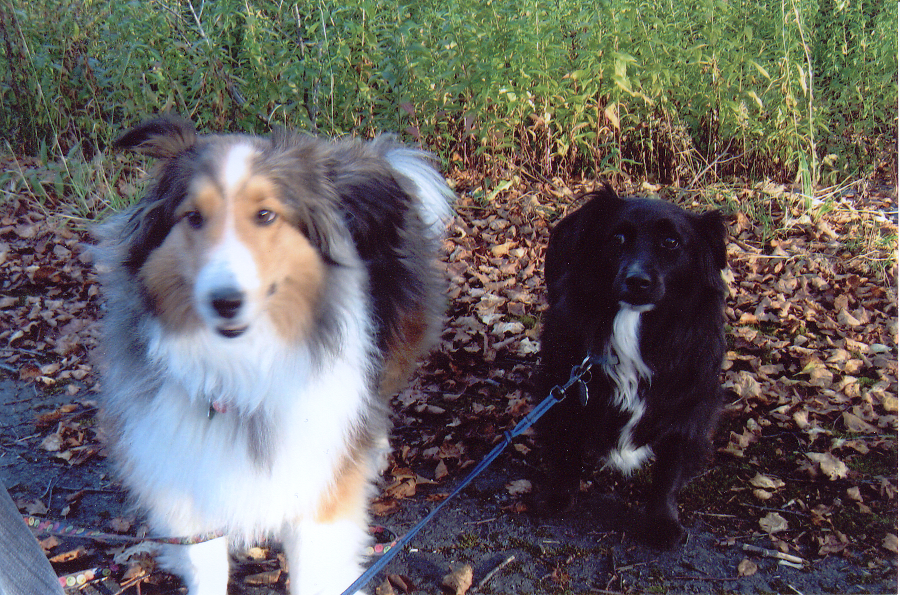 Main Gallery Display