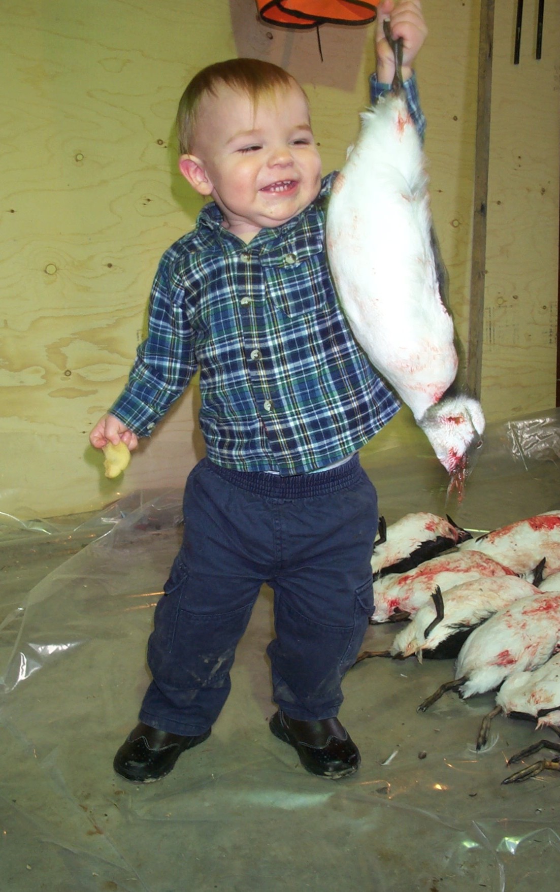 Main Gallery Display