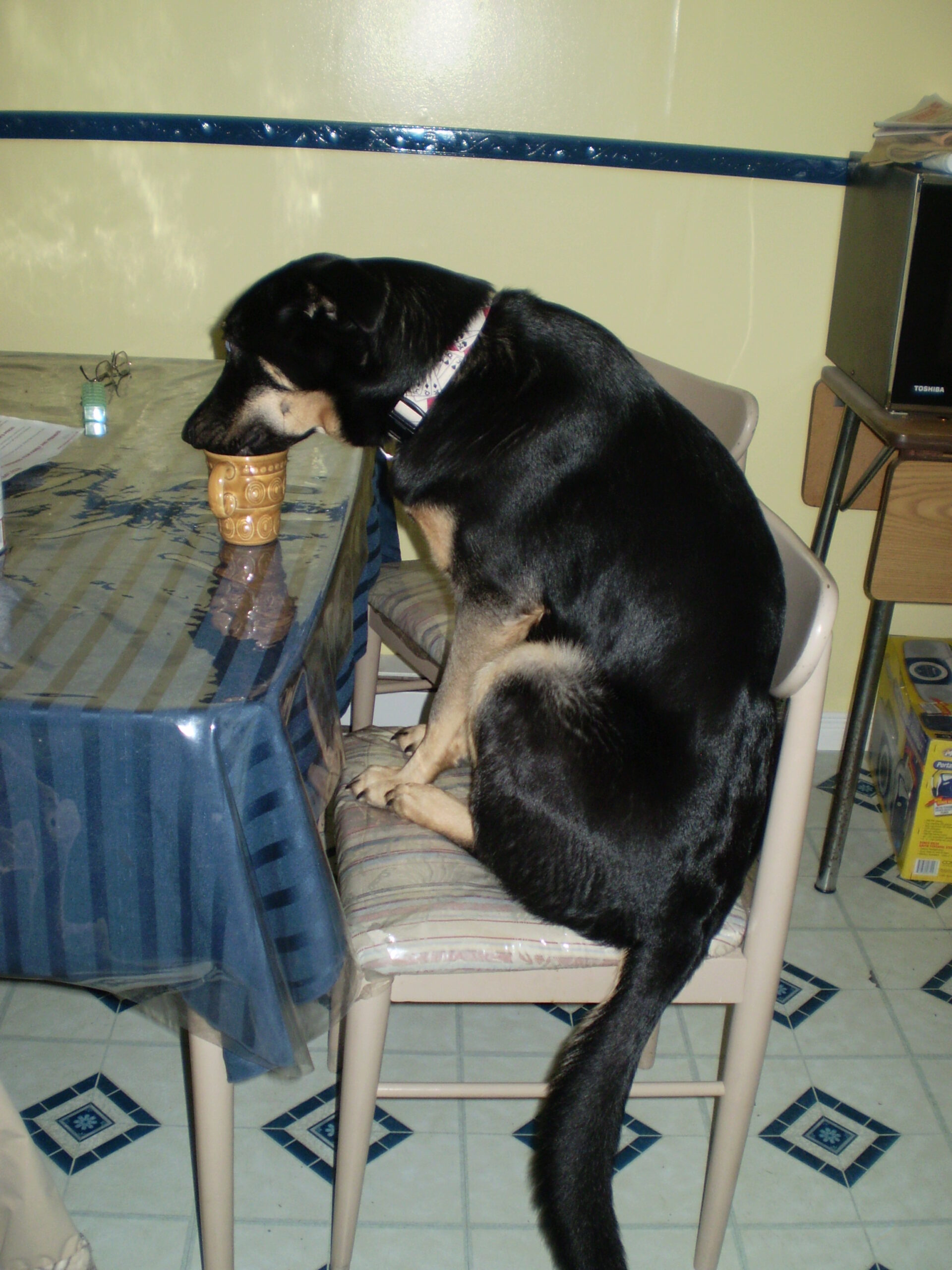 Main Gallery Display