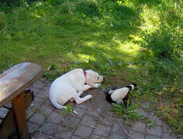 Main Gallery Display