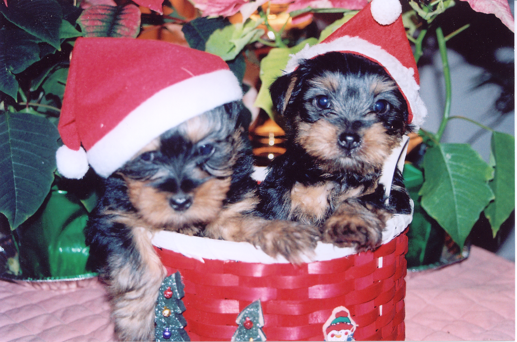 Main Gallery Display
