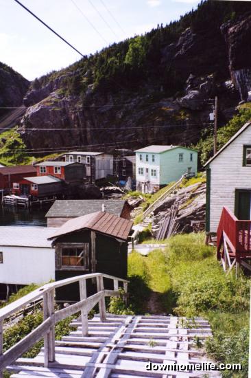 Main Gallery Display