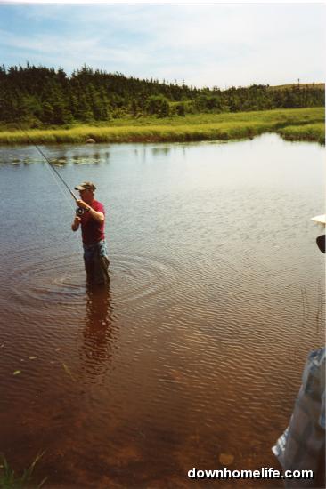 Main Gallery Display