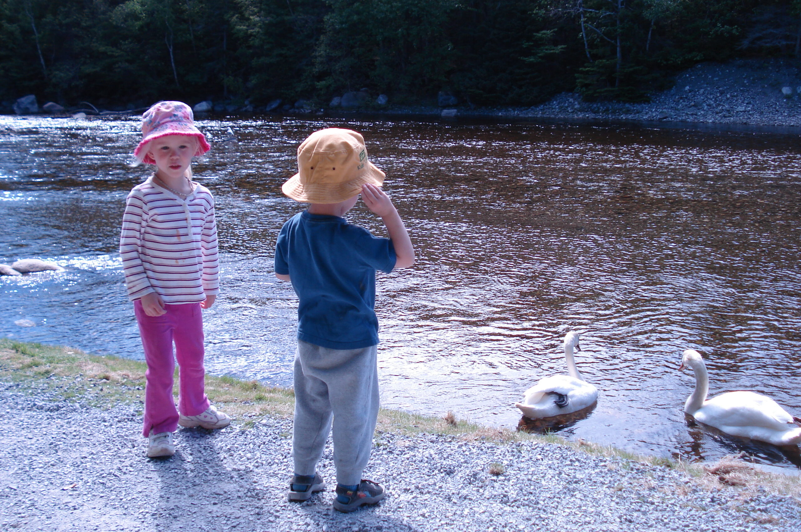Main Gallery Display