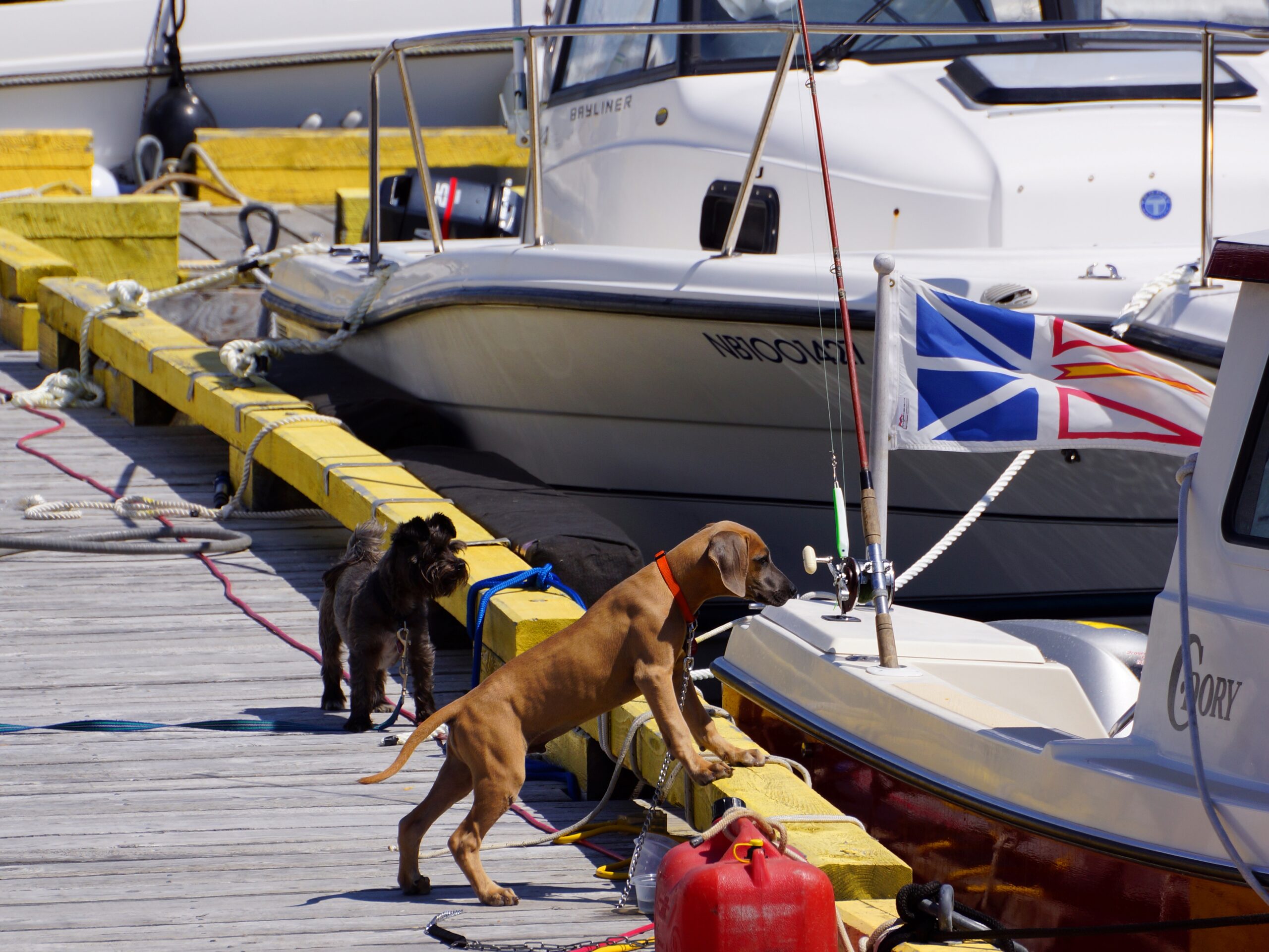 Main Gallery Display