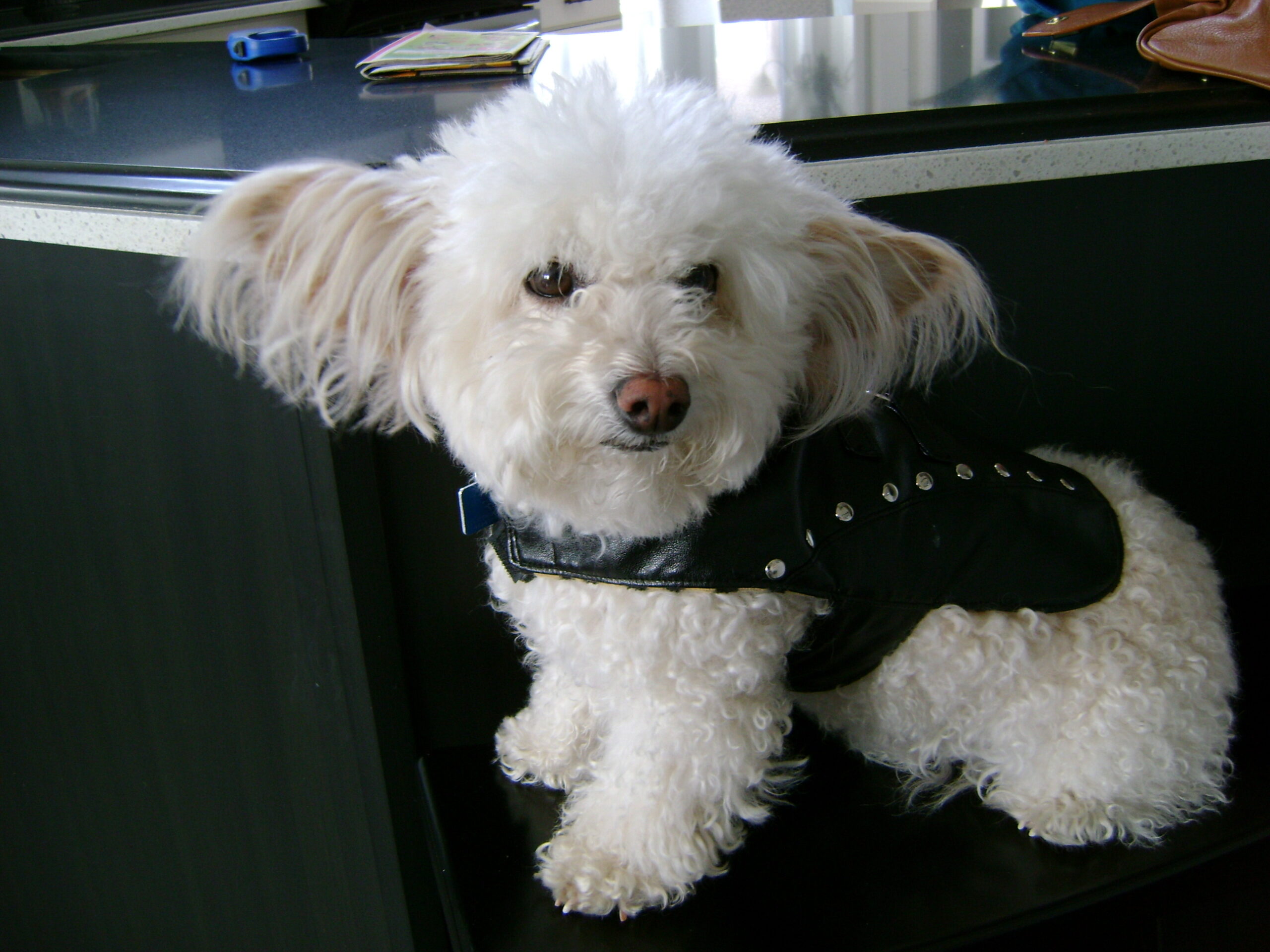 Main Gallery Display