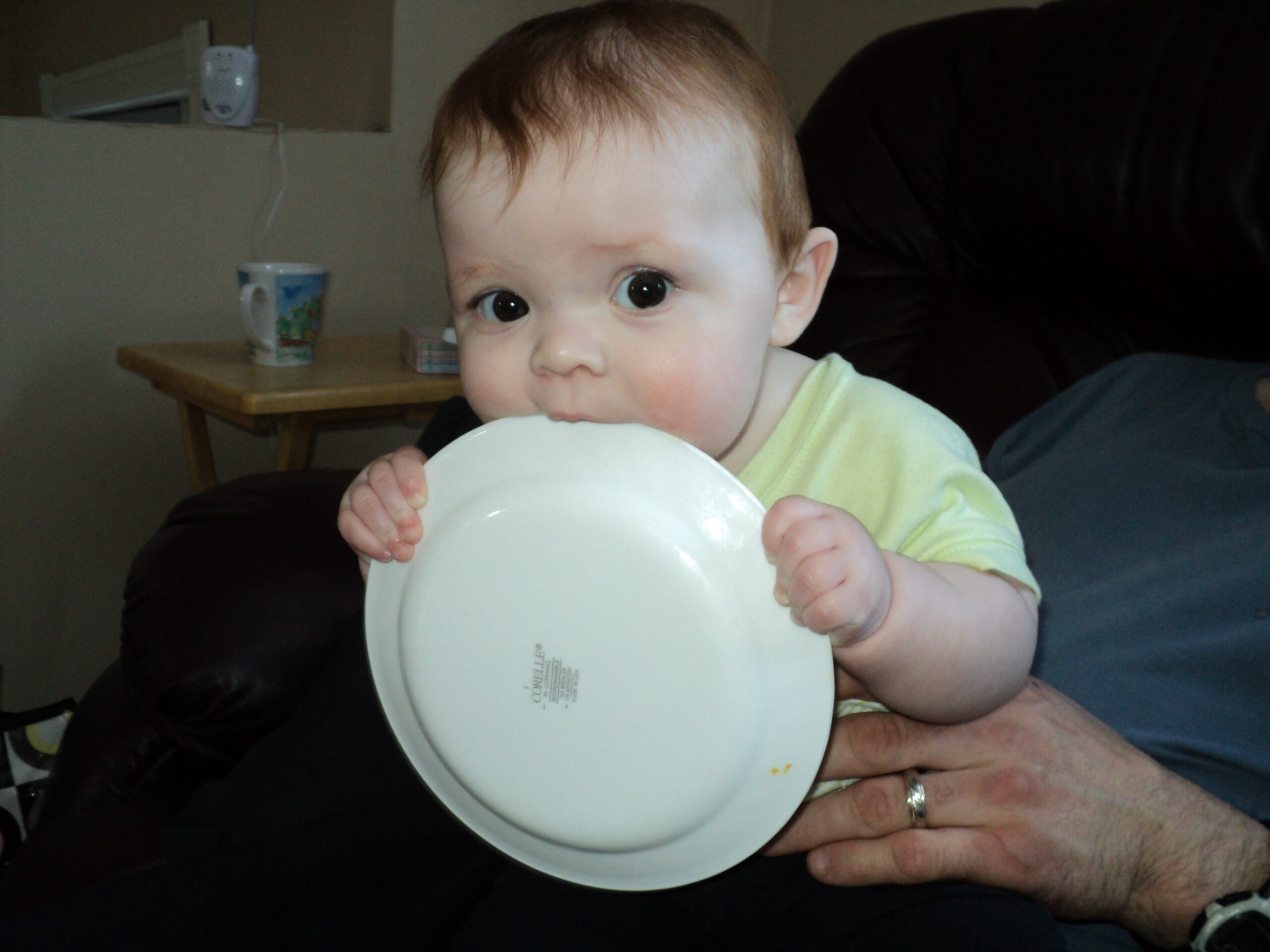 Main Gallery Display