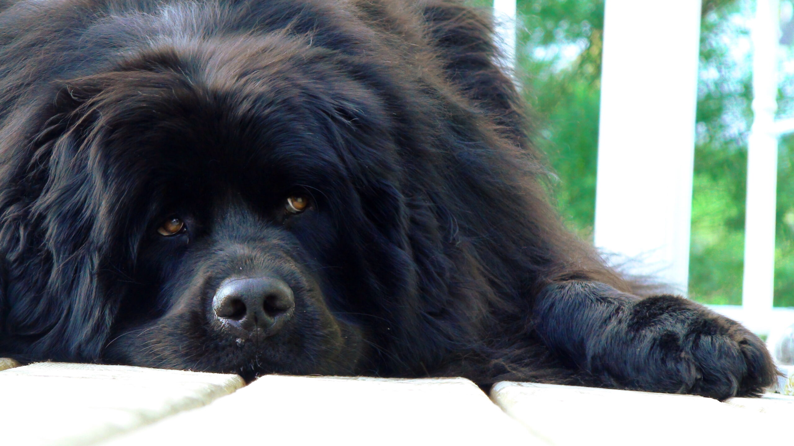 Main Gallery Display