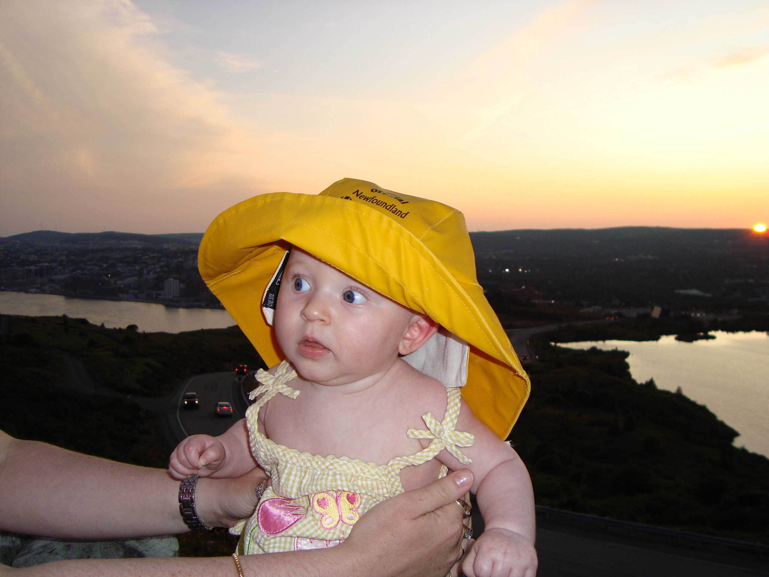 Main Gallery Display
